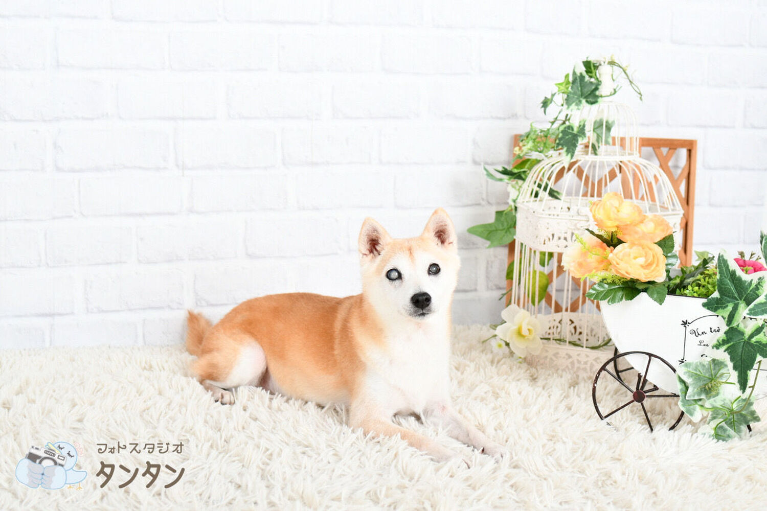 ブログ