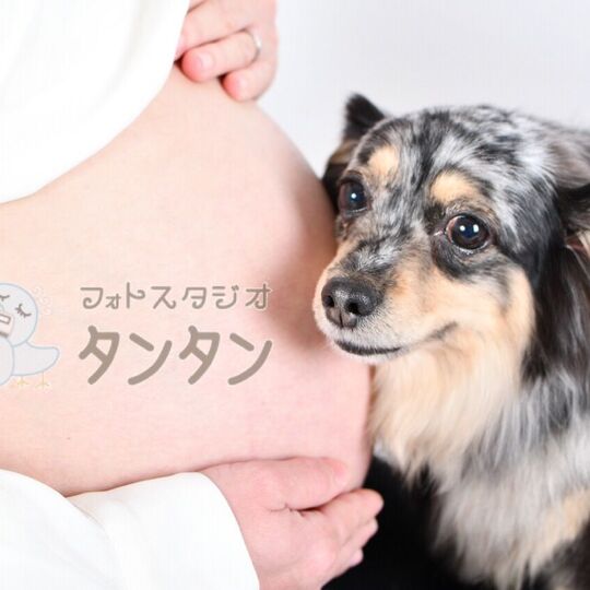 ワンちゃん