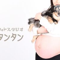 F2EB1F63-35CE-4B1E-A681-92C76860E8F6