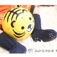 ACAECD7D-13ED-4BFE-9358-5357FCE8C28B