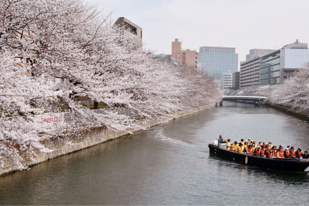 桜まつり
