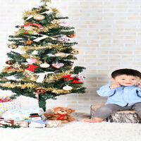 クリスマス
