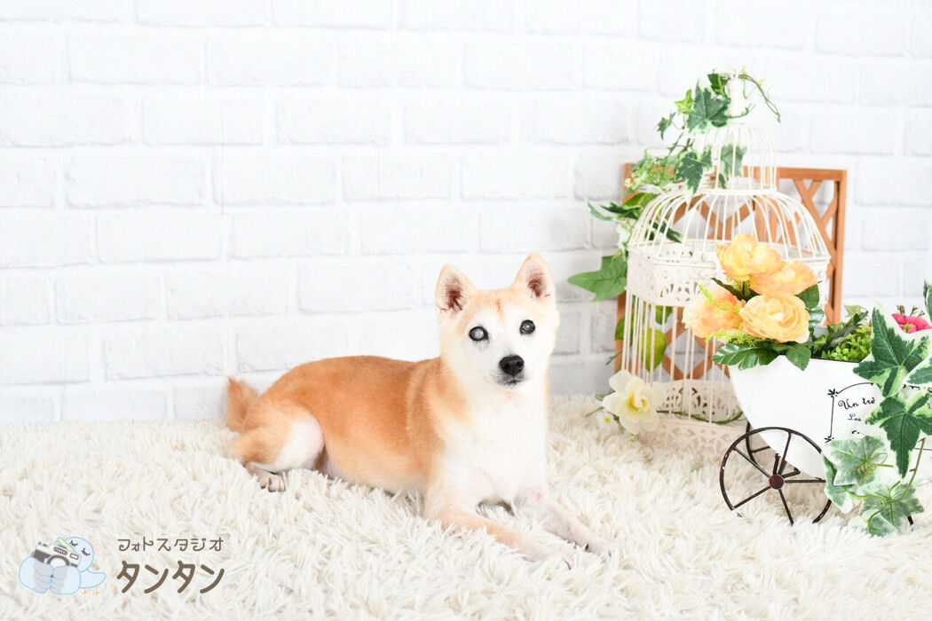 258724F5-309D-4545-971B-65D4F8C1BC5F