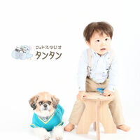 犬