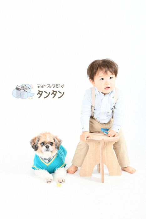 犬
