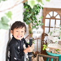 D9FB8CD3-7027-40B1-B5C4-F2CAAA71D4AD