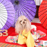 C63FF4E3-CEB7-42F0-9BCA-02A4A188F569