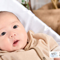AE34FCEC-8A2A-4382-B4CB-B7E1AEF65285