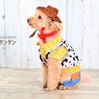 アニマルフォト