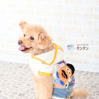 77CF4108-6616-4C5E-A5FB-41BBE92042F1