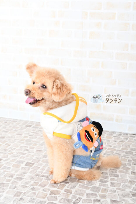 77CF4108-6616-4C5E-A5FB-41BBE92042F1