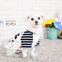 AB8A1980-9507-47CB-9CEE-37ACF903F2BD