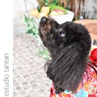 EAC44E9E-9240-43A0-A545-6825E02EC1F5