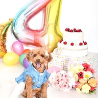 78F0F245-A4EE-41DC-BC61-C9EF6D222A2F