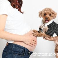 IMG_0590