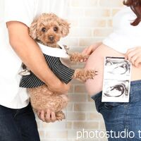 IMG_0593